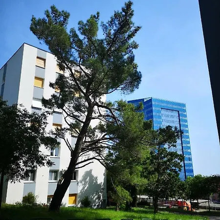 Gervais Rijeka